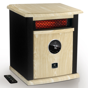 Deluxe cabinet heater -black with remote
